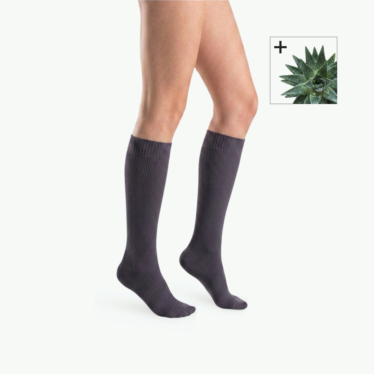 Bas de contention Gilofa Aloe Vera