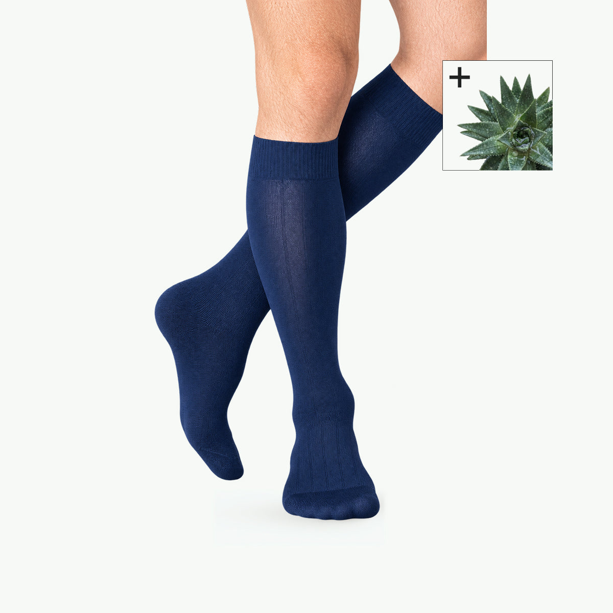 Calza al ginocchio Ofa 365 Aloe Vera